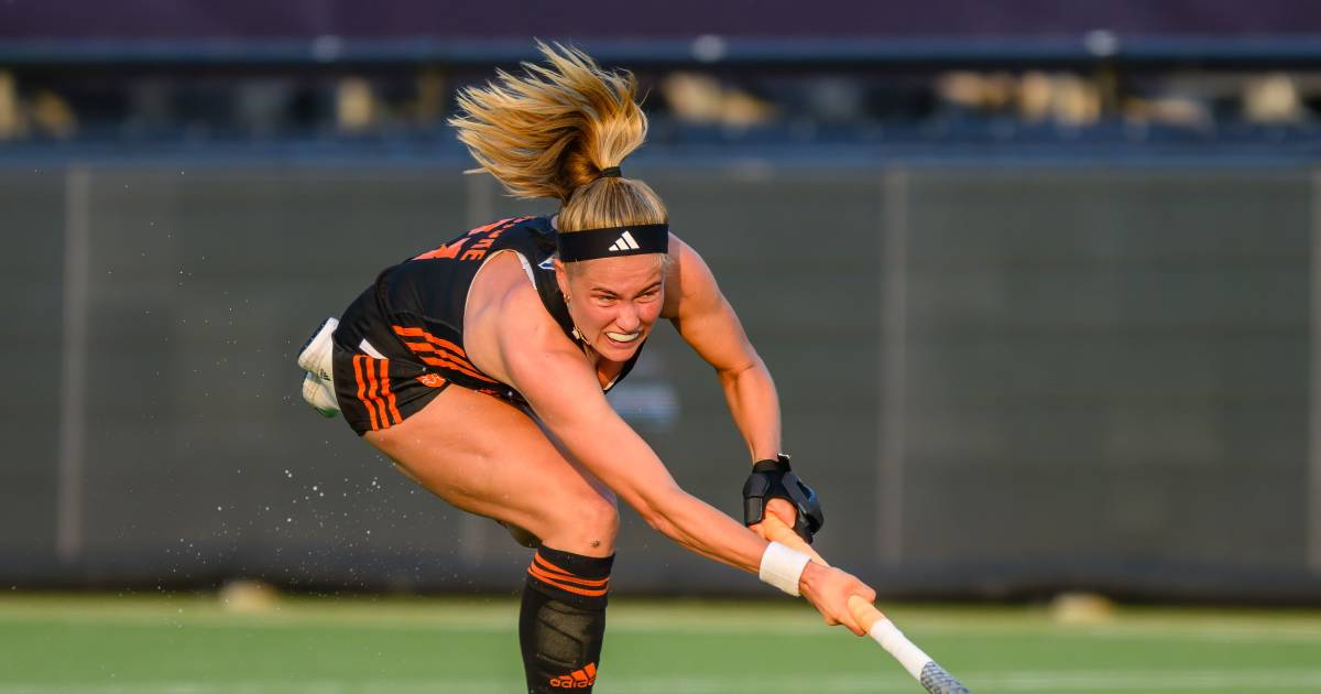 Dutch hockey players wipe the floor with USA |  Other sports