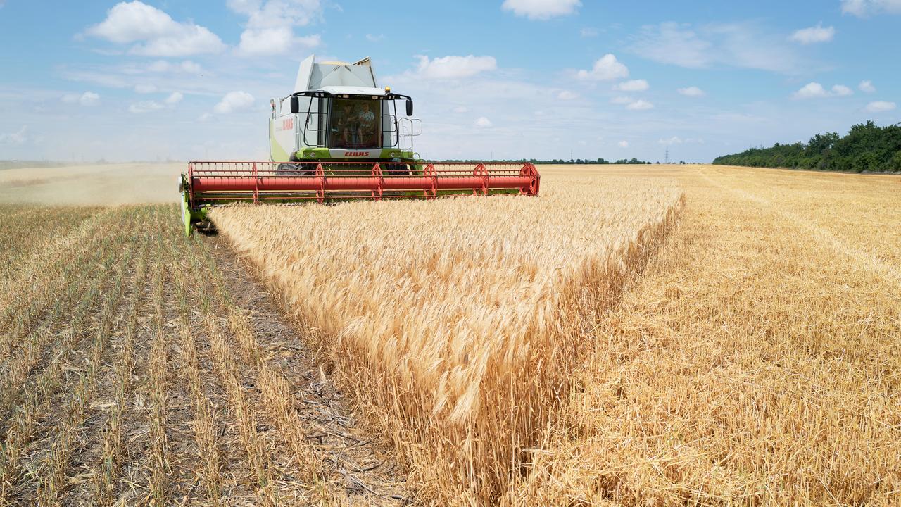 Extension of Ukrainian grain import ban deal imminent |  Economy