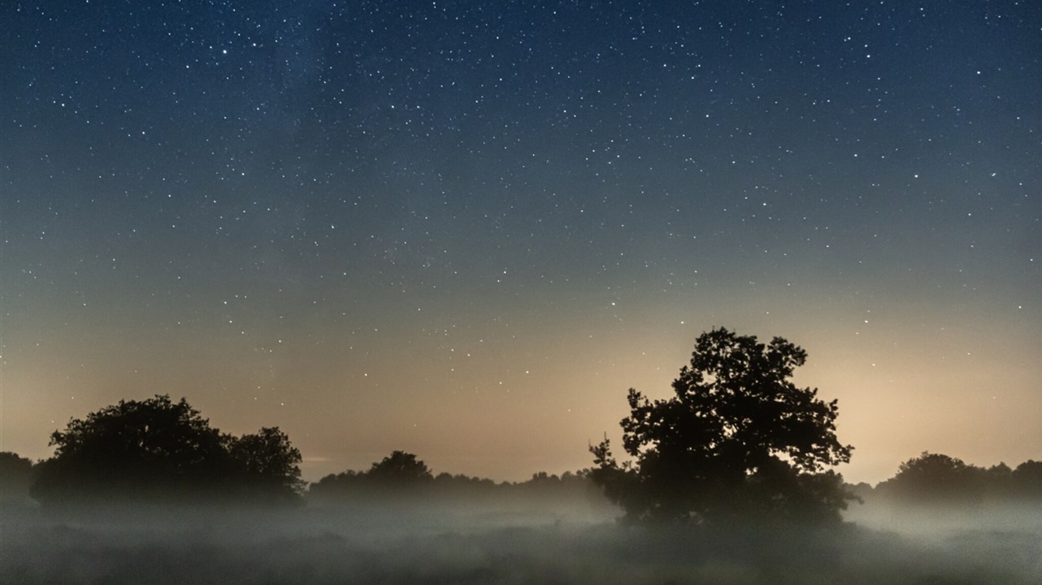 The stars may not be visible after 20 years due to increased light pollution