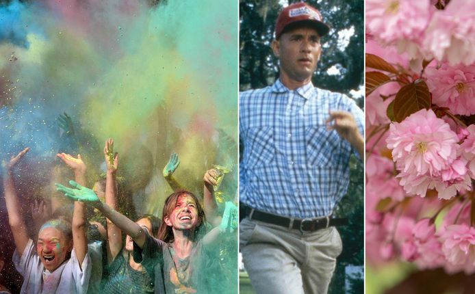 If you google Holi-Phagwa, Forrest Gump, or cherry blossoms, you will get a surprise.