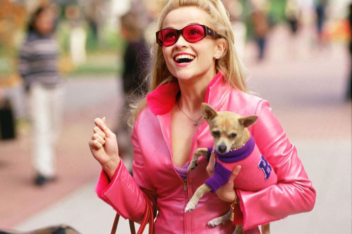 Reese Witherspoon in legally blonde hair, with her dog 