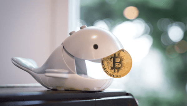 Bitcoin is back at ,000 as whales reach a ‘giga long’.