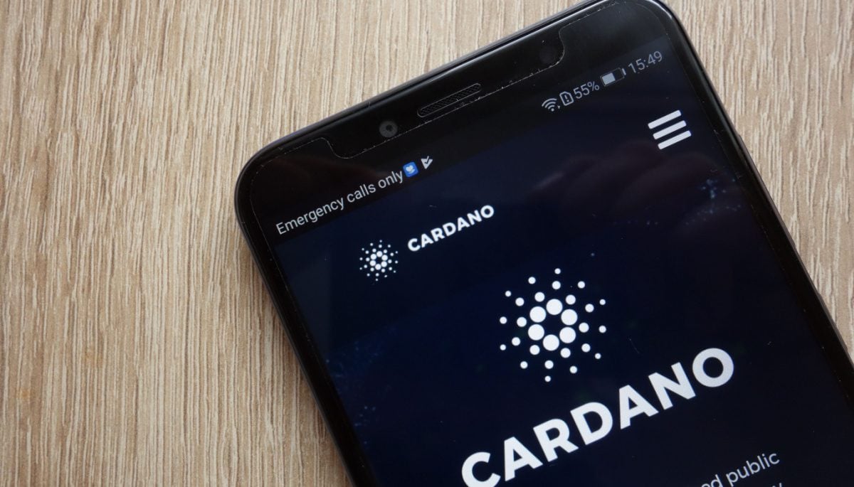 Cardano at No. 1?  The founder predicts the future of bitcoin