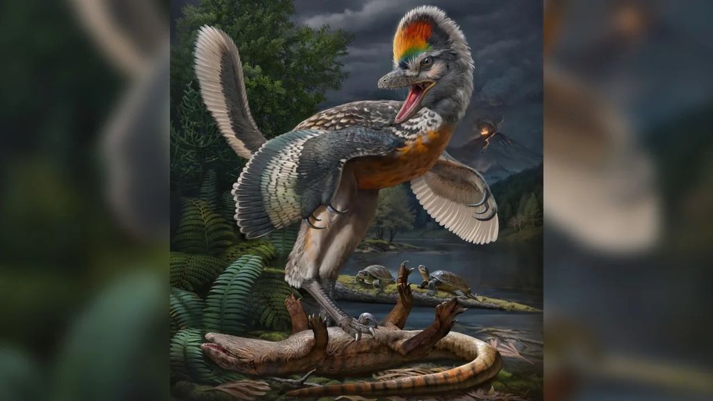 Discovery of dinosaurs sheds new light on bird evolution