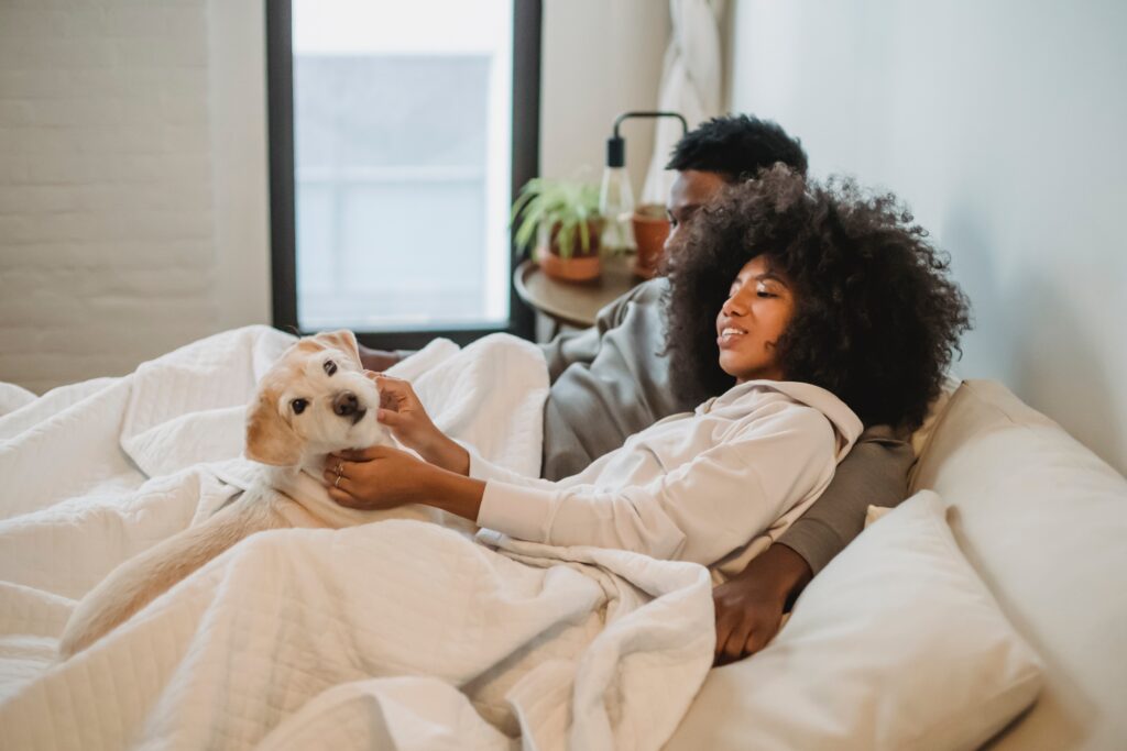 Sharing a bed with a pet: is it harmful?