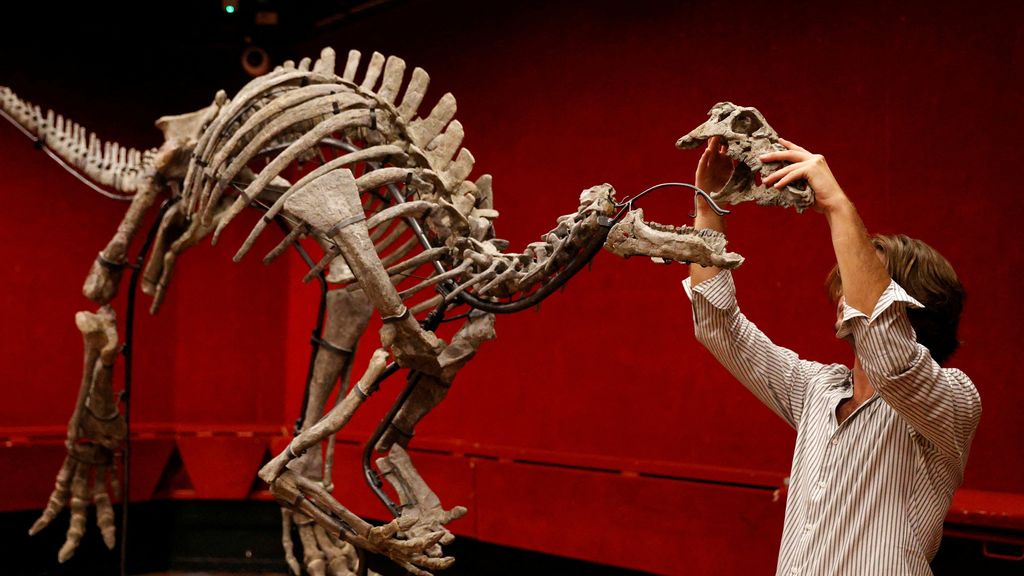 Barry's dinosaur up for auction: 'Very well preserved'