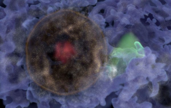 Astronomers find possible fossils of the Big Bang in the Milky Way’s backyard