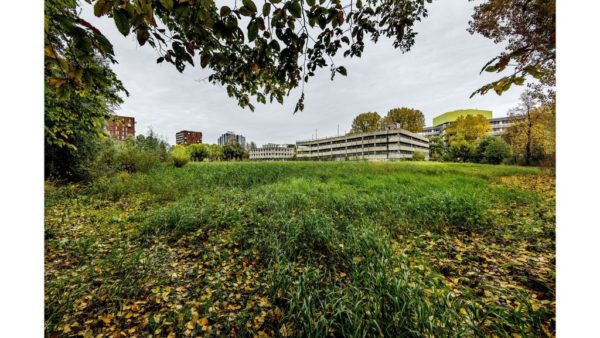 Build build build, but because of the Dutch Rules, it’s not that easy