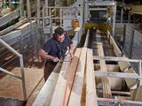 Vakbond FNV kondigt werkonderbrekingen aan in de houthandel