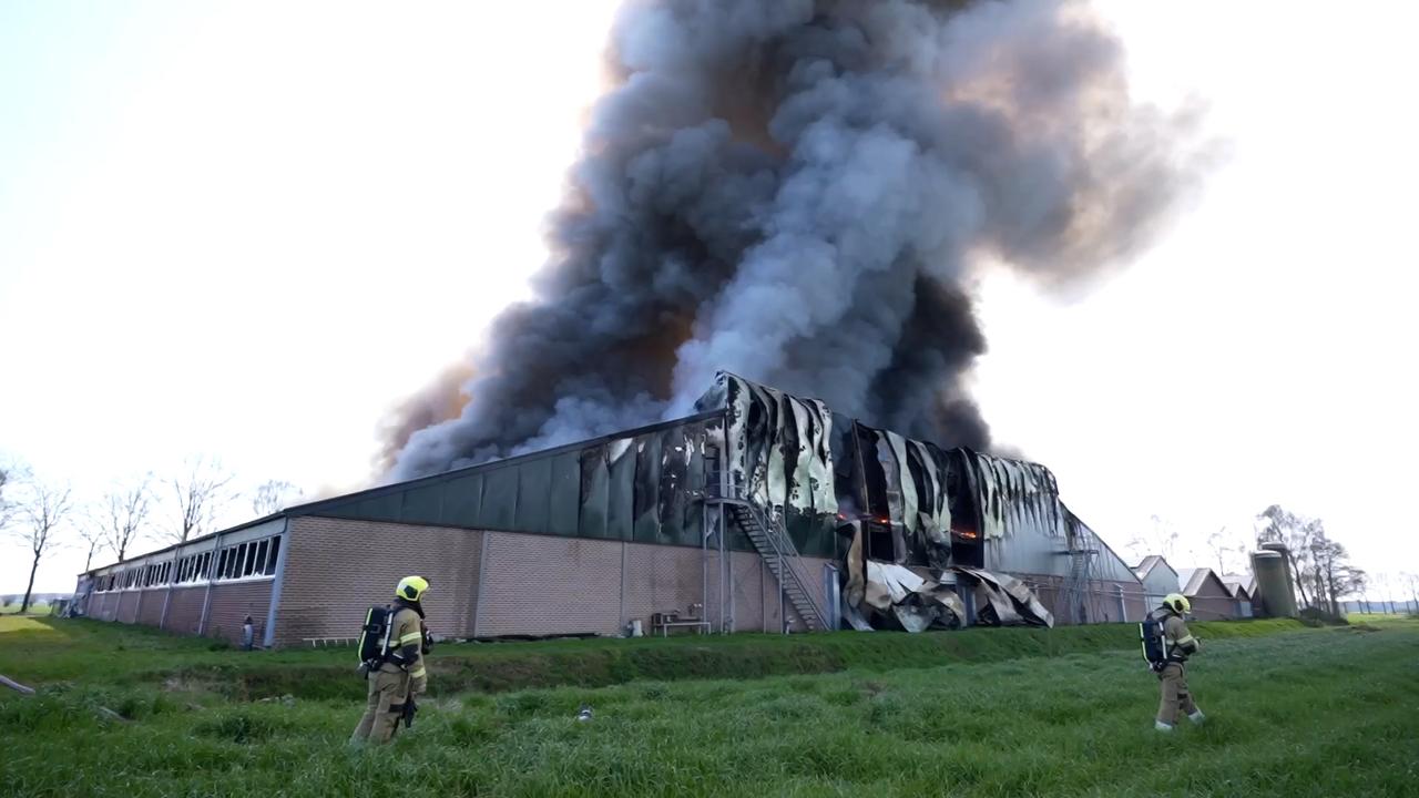 Beeld uit video: Grote rookwolken bij stalbrand die 9.000 varkens het leven kost