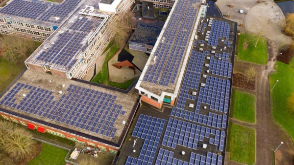 Eight out of ten companies say they are operating more sustainably compared to last year |  Economy