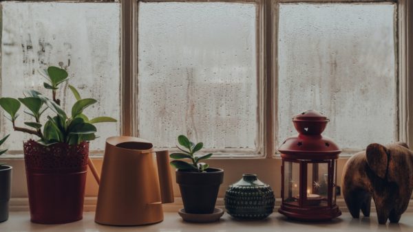 5 tips to combat humidity in your home