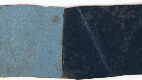 A piece of bloodstained skin from John F. Kennedy sold at auction for ,865