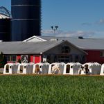 Canada Stops US Milk Invasion - Dairy News