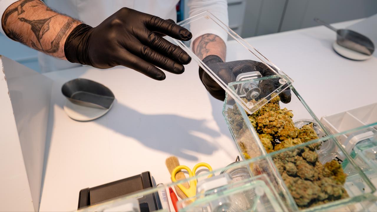 Legal cannabis available for the first time: trial begins in Tilburg and Breda |  local