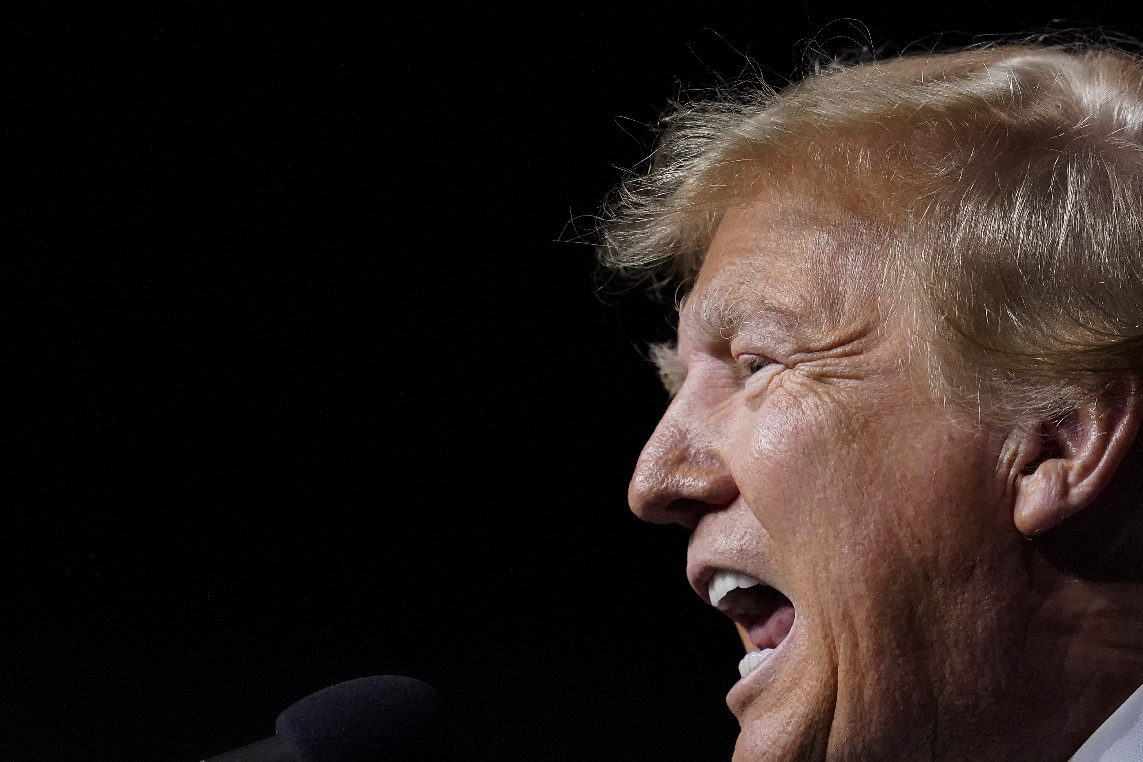 Former President Donald Trump spoke at the rally.  (AP Photo/Godofredo A. Vásquez)