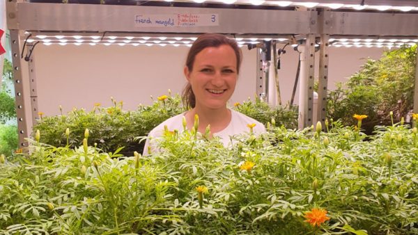 Mary Ann grows edible flowers in Dubai: ‘I made something out of nothing’