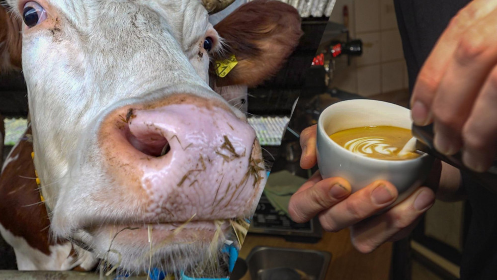 From cow to cappuccino: Demand for local food is growing, but growth is difficult