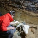 Oostenrijker renoveert wijnkelder en vindt prehistorische mammoetbotten