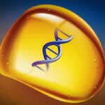 Scientists store DNA in fake amber (and no, we're not bringing dinosaurs back to life with this, but it's useful)
