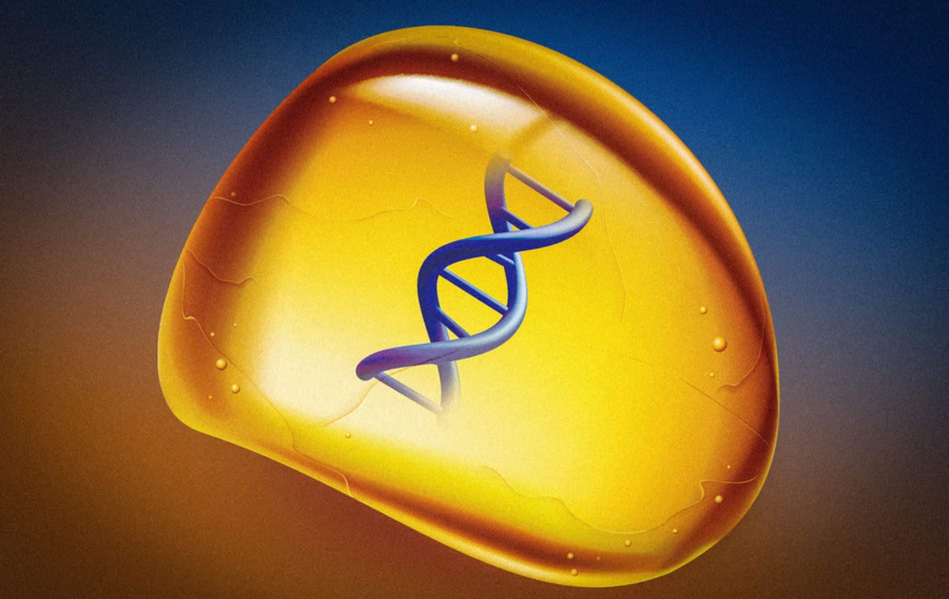 Scientists store DNA in fake amber (and no, we're not bringing dinosaurs back to life with this, but it's useful)