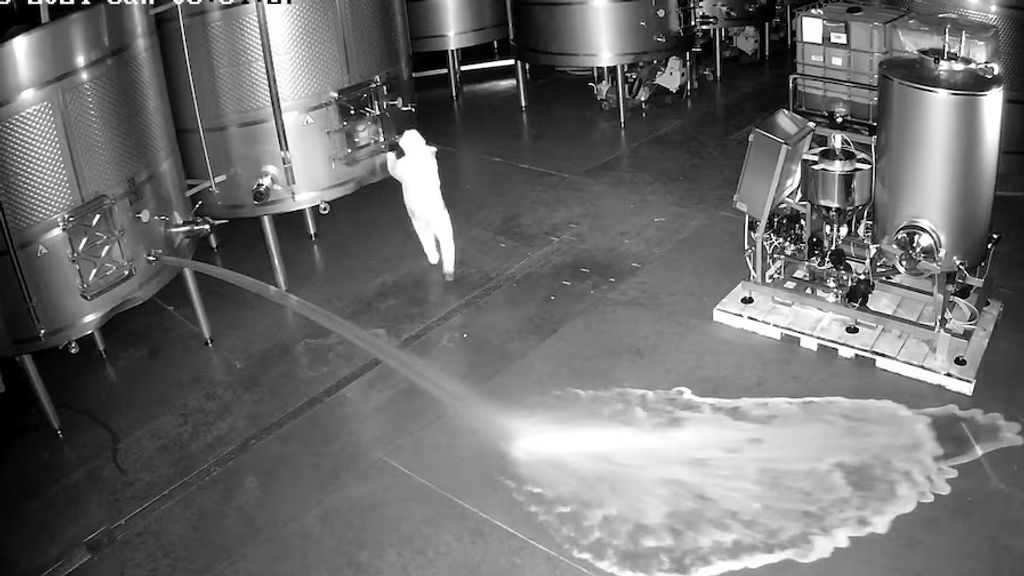 The thief who spilled 60,000 liters of wine was a fired employee