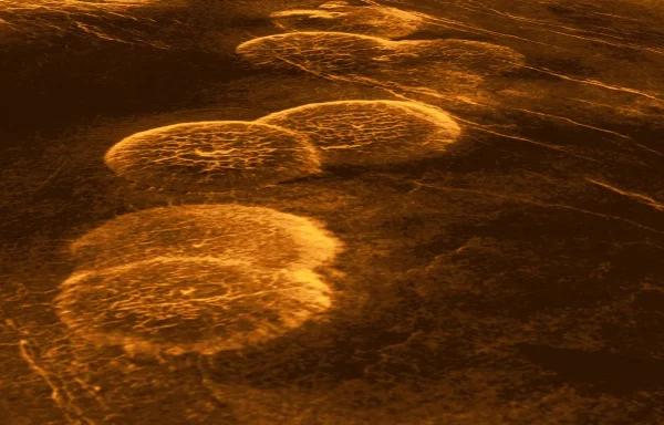 Researchers find strong evidence of life on Venus