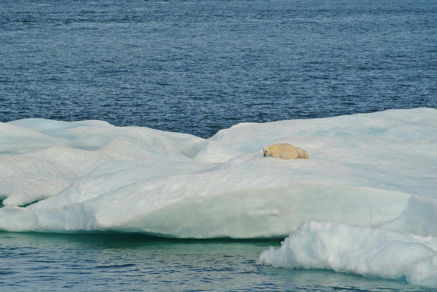 Will the day soon be 24 hours long? Days are getting longer due to climate change