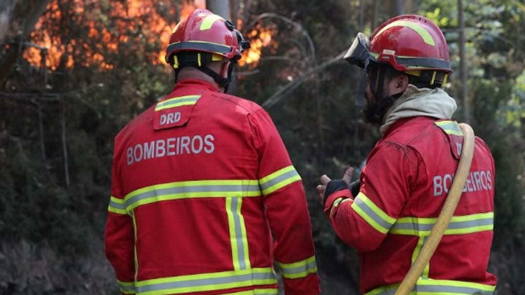 Hundreds of firefighters battle massive blaze in Madeira