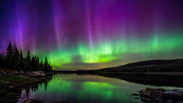 Upgraded ‘Severe’ Northern Lights Alert Issued for 25 States as Solar Storms Intensify