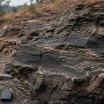 Ancient Rock in India May Preserve Signs of Microbial Life From 3.5 Billion Years Ago